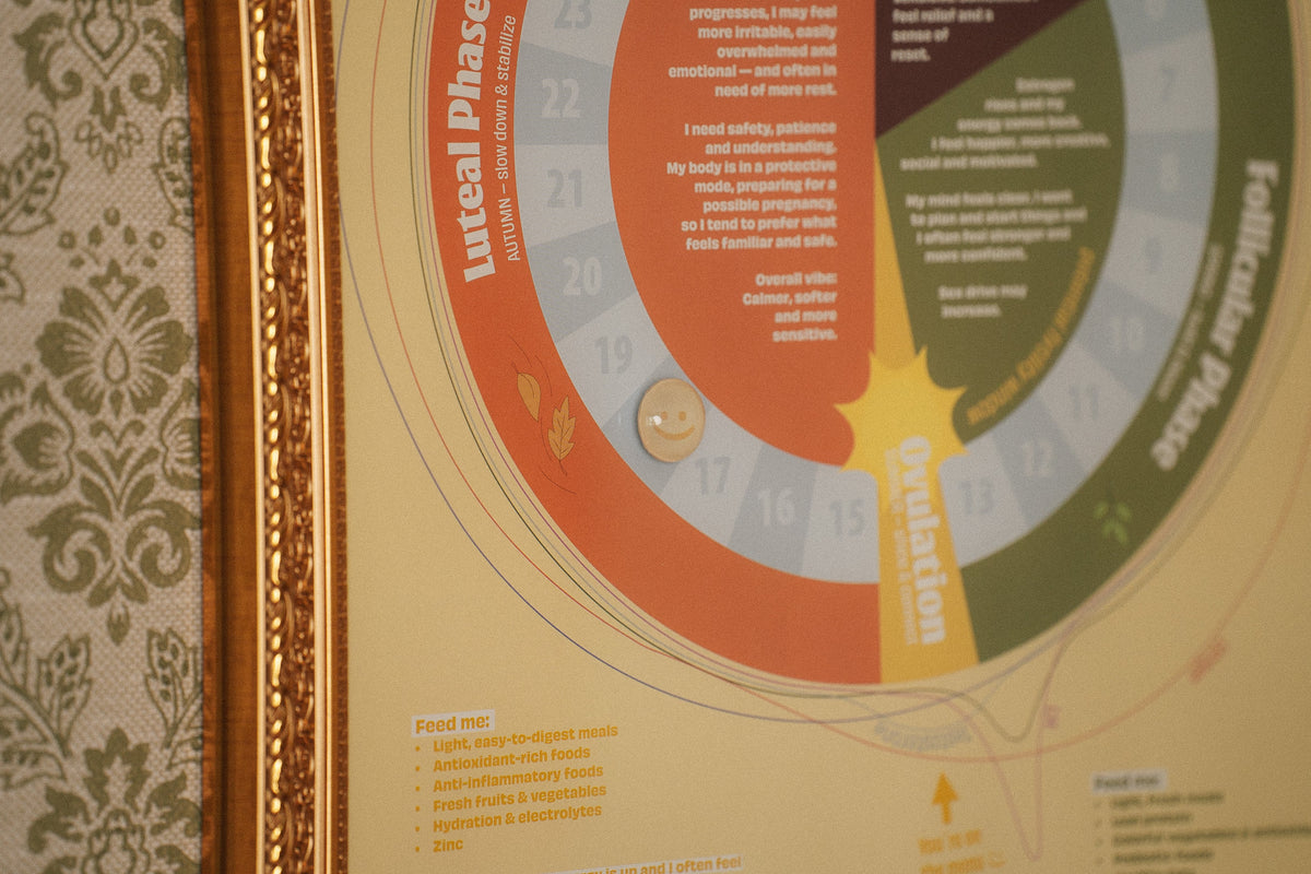 Hubby’s First Cycle Guide – Framed