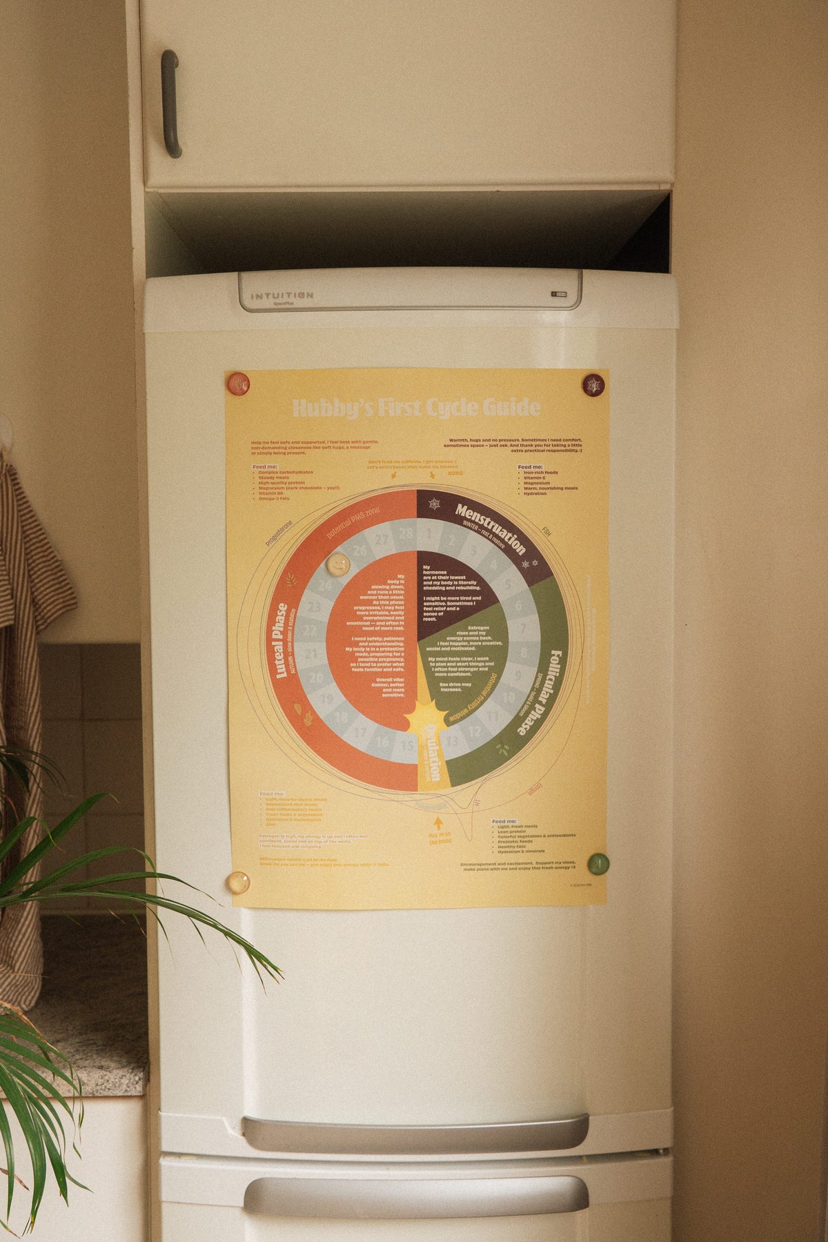 Hubby's First Cycle Guide