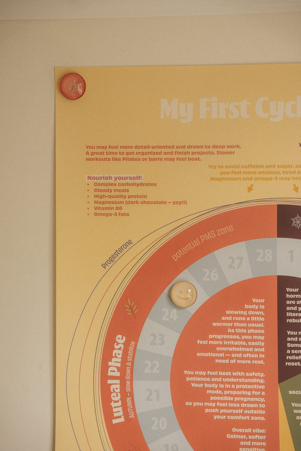 My First Cycle Guide