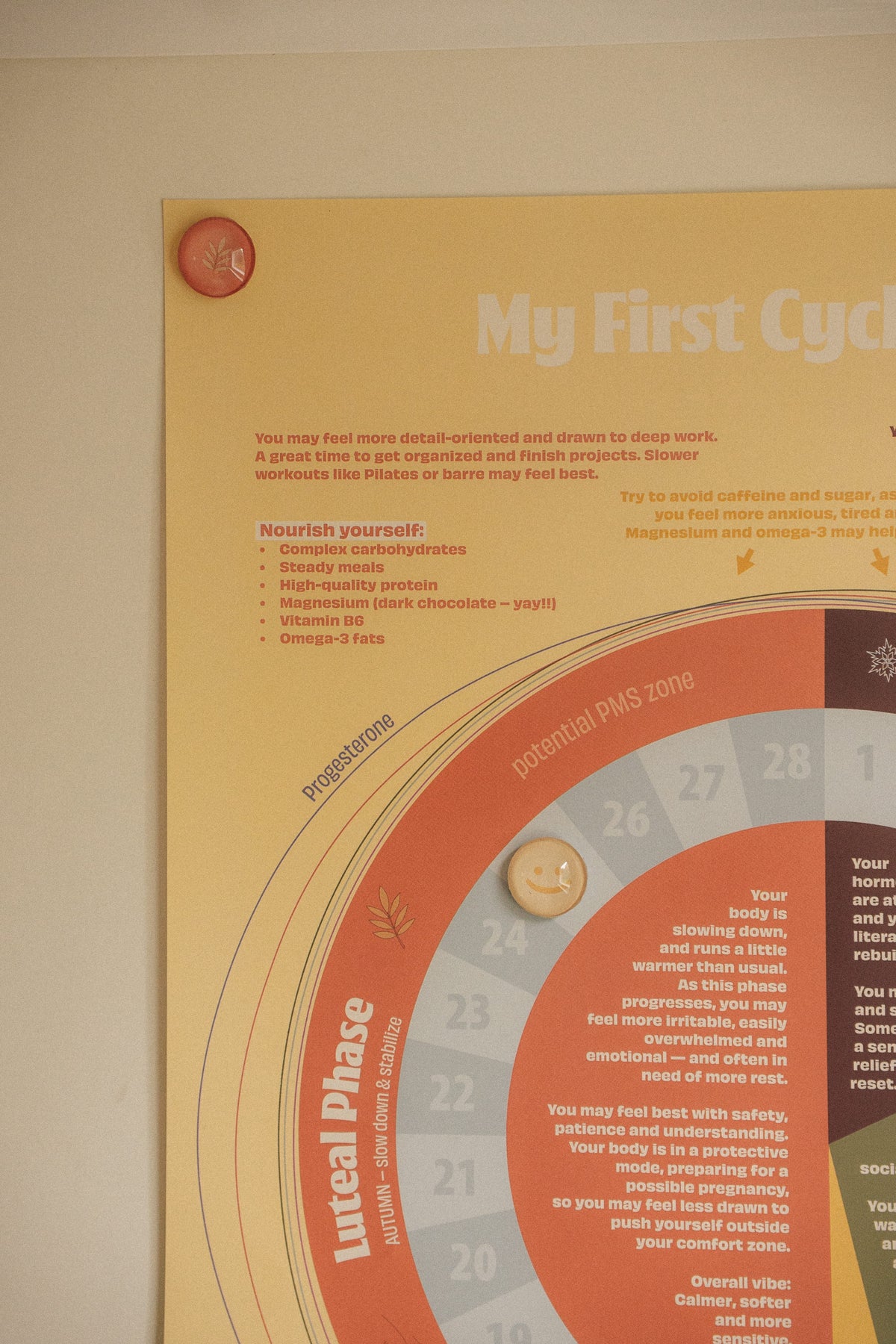 My First Cycle Guide