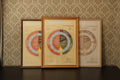 Hubby’s First Cycle Guide – Framed